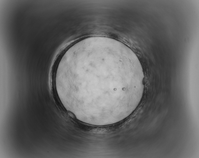 X0000096140294200802151340