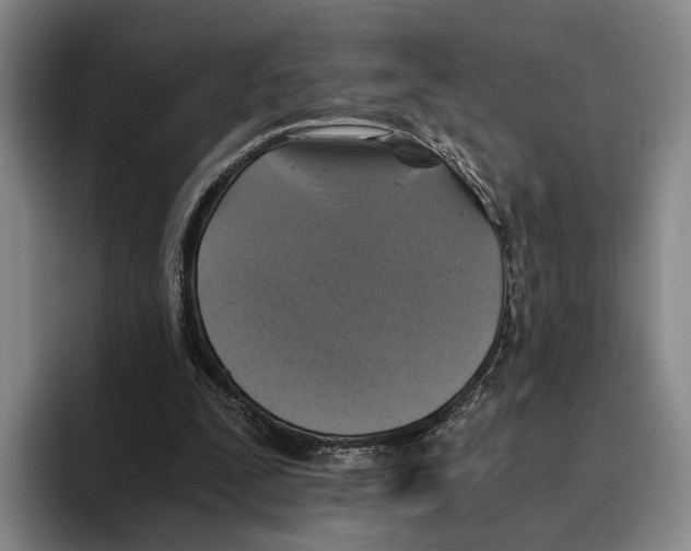 X0000096140295200802151340