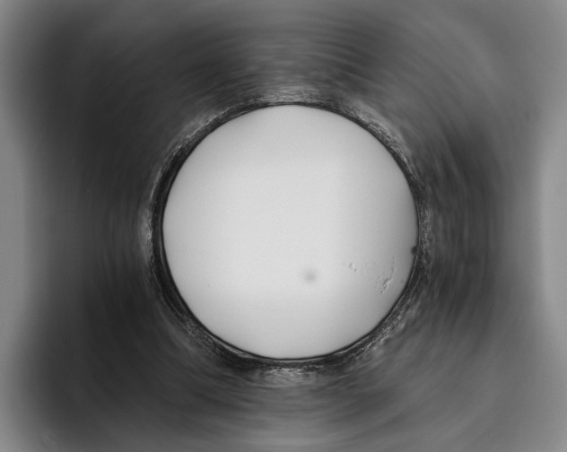 X0000096140298200802151340