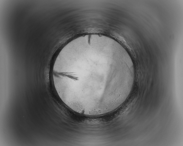 X0000096140299200802151340