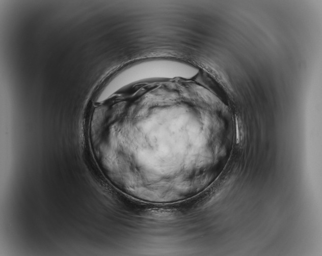 X0000096140300200802151340