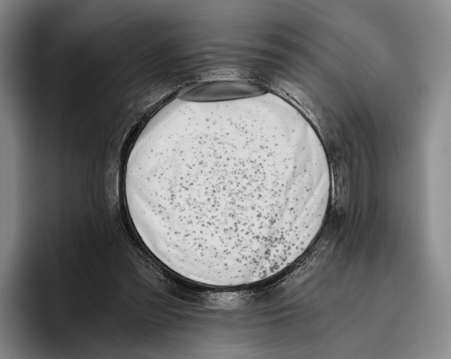X0000096140301200802151340