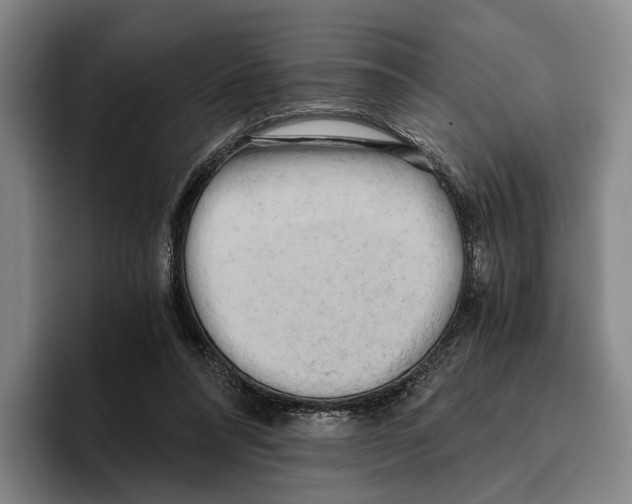 X0000096140304200802151340