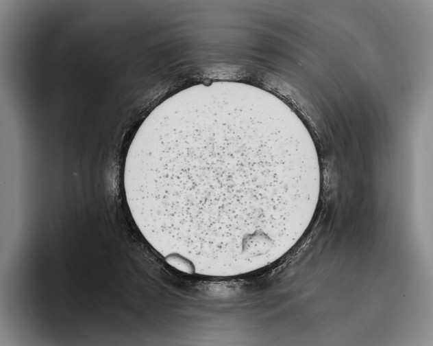 X0000096140305200802151339