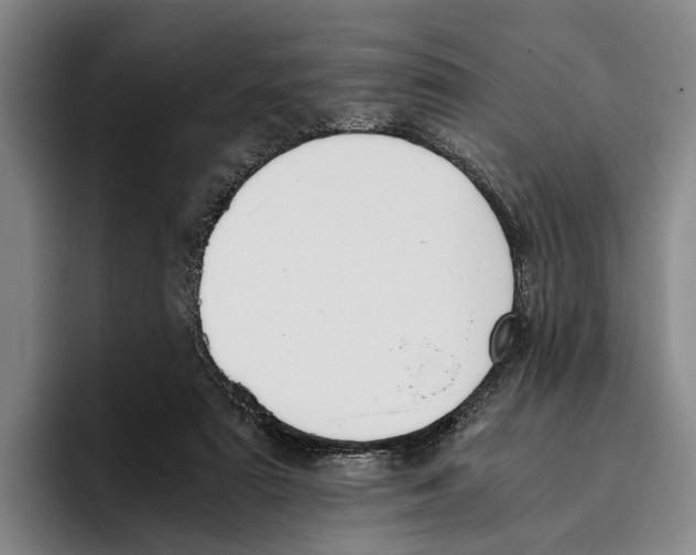 X0000096140307200802151339