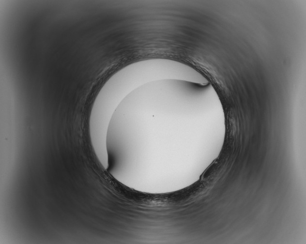X0000096140308200802151339