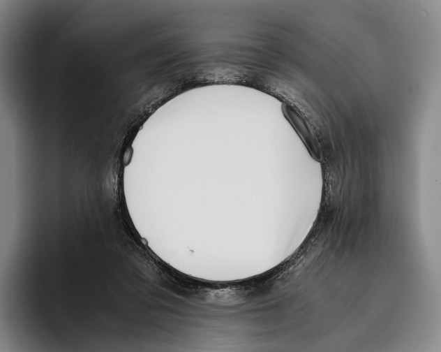 X0000096140309200802151339
