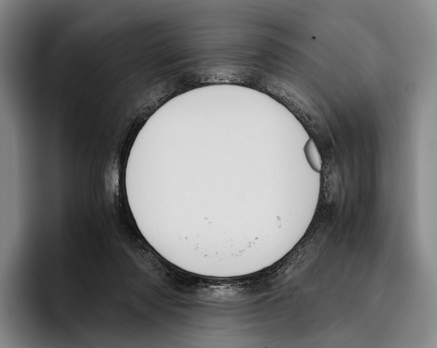 X0000096140310200802151339