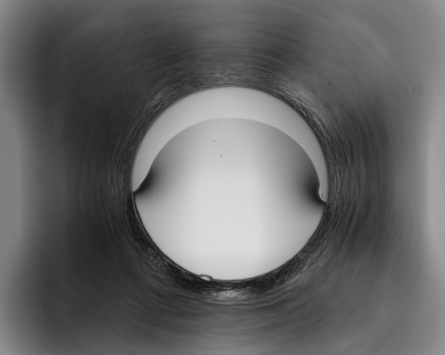 X0000096140312200802151339