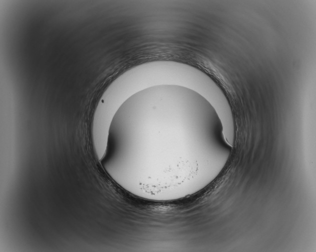 X0000096140313200802151339