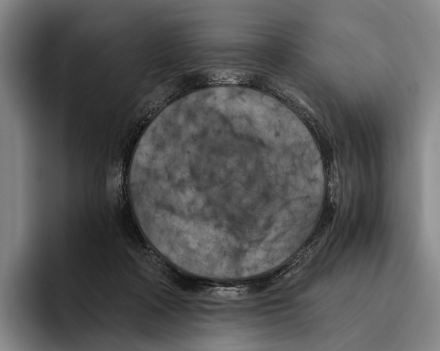 X0000096140314200802151339