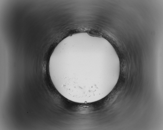 X0000096140315200802151339