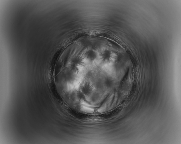 X0000096140316200802151339
