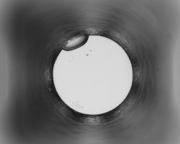 X0000096140317200802151339
