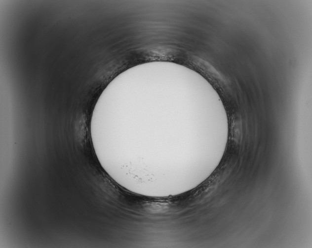 X0000096140318200802151339