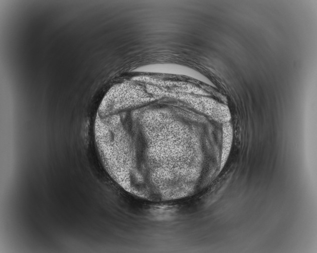 X0000096140319200802151339