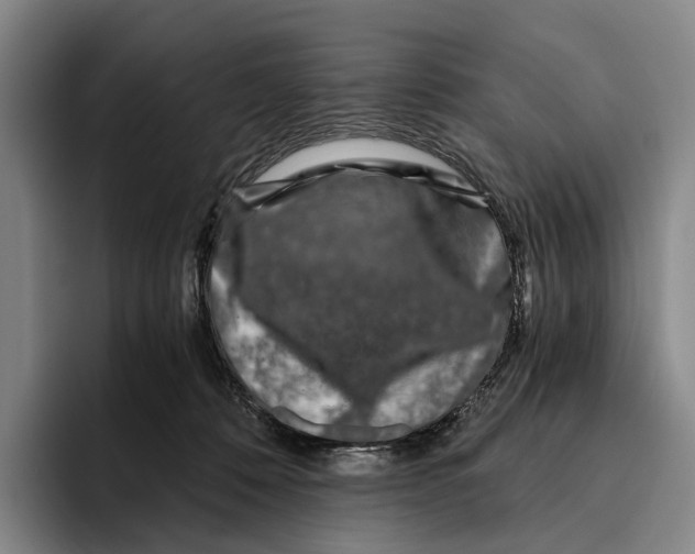 X0000096140320200802151339