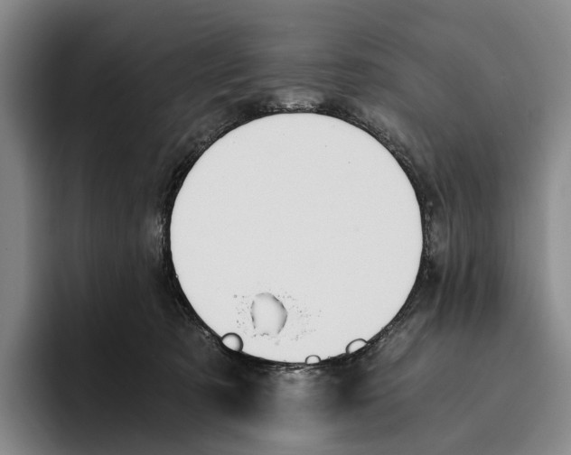 X0000096140321200802151339