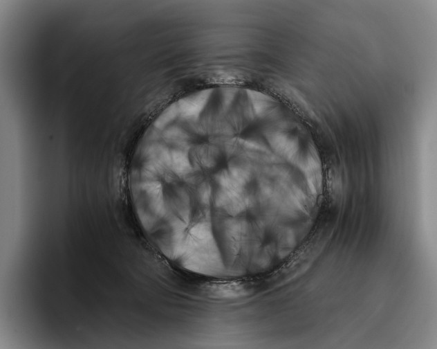 X0000096140322200802151339