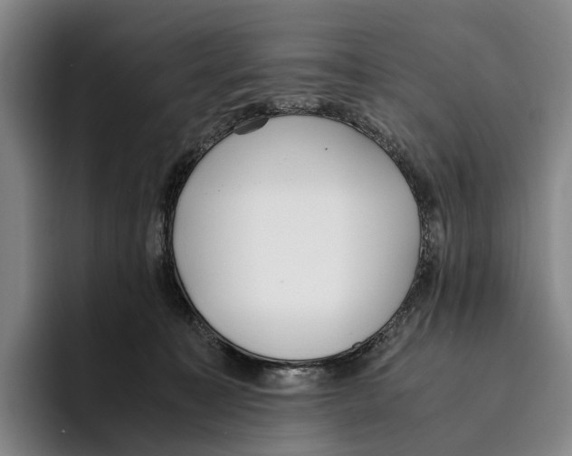 X0000096140323200802151339
