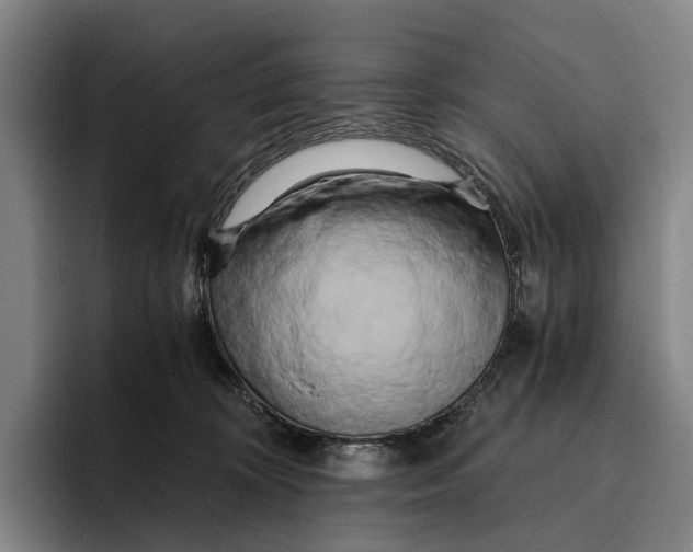 X0000096140324200802151339