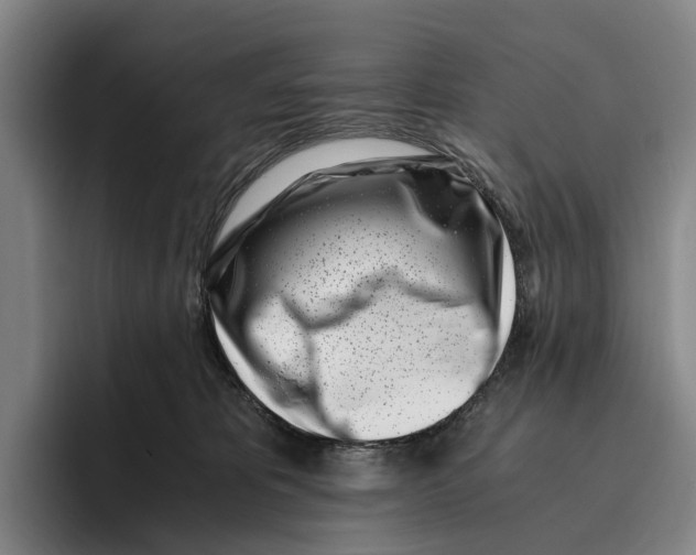 X0000096140325200802151339