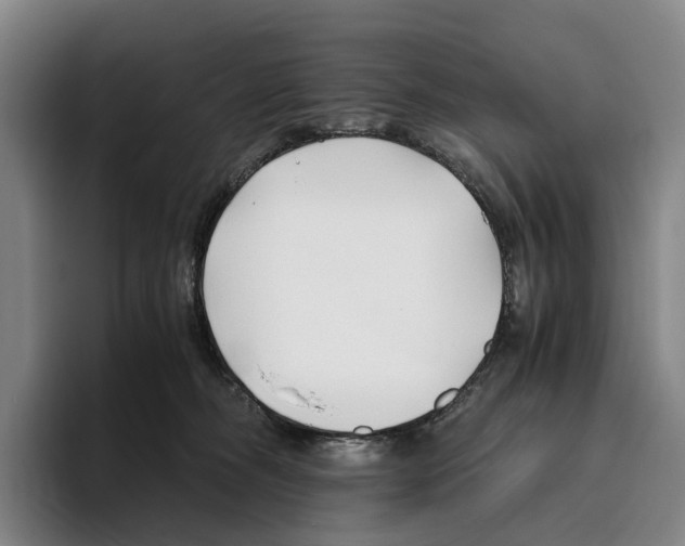 X0000096140326200802151339
