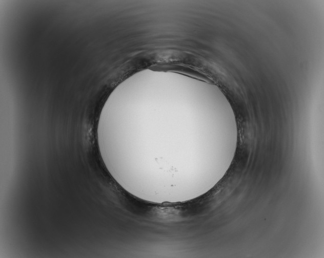 X0000096140327200802151339