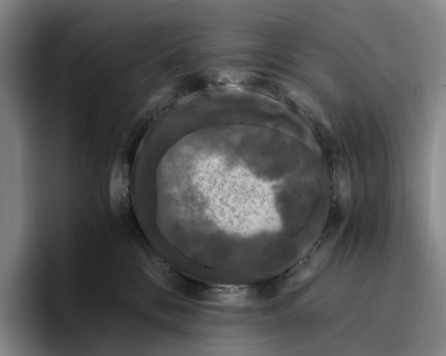 X0000096140328200802151339