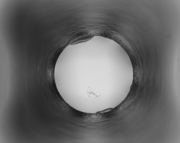 X0000096140329200802151339