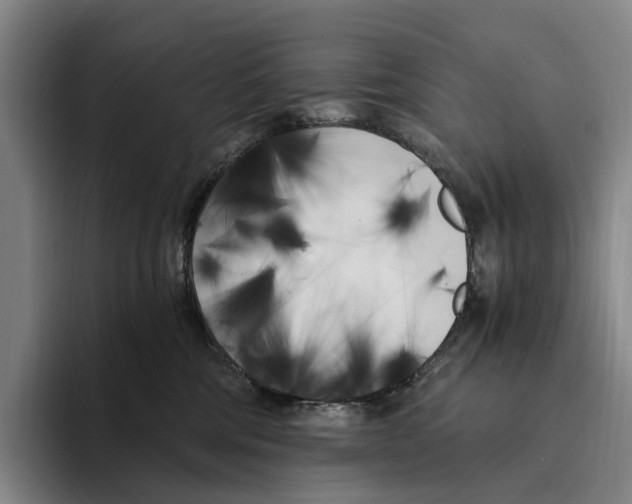 X0000096140330200802151339