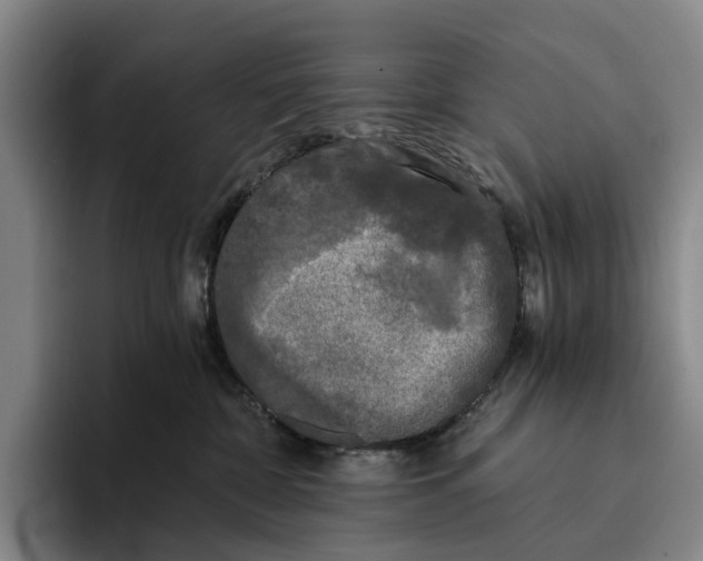 X0000096140332200802151339