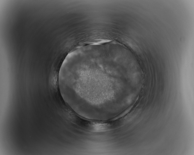 X0000096140336200802151339