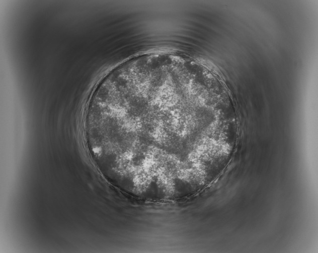 X0000096140337200802151338