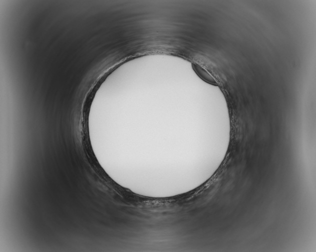 X0000096140338200802151338