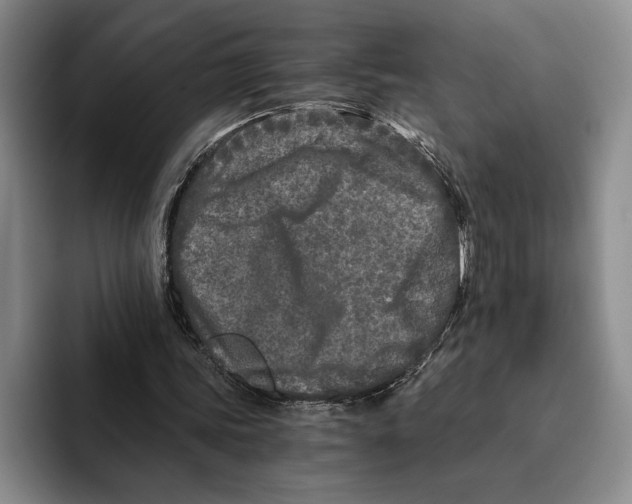 X0000096140339200802151338