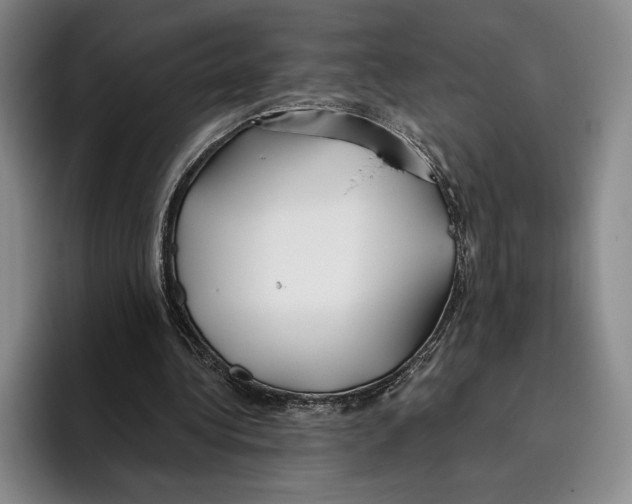 X0000096140340200802151339