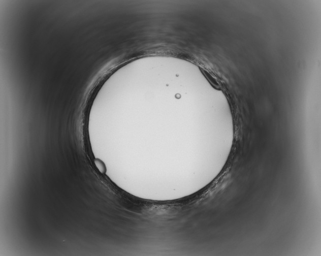 X0000096140341200802151339