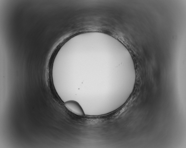X0000096140342200802151339