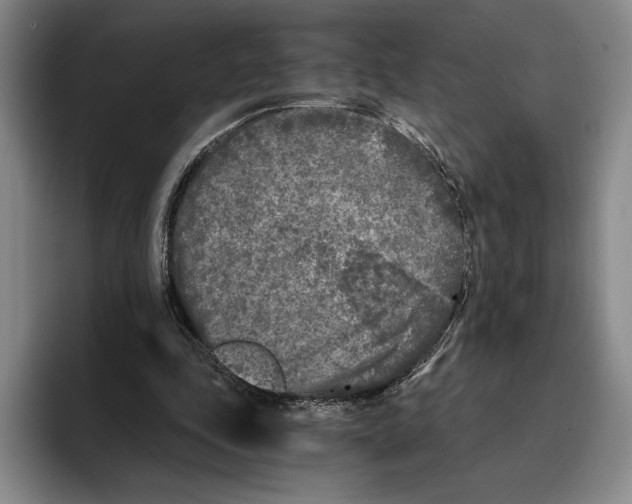 X0000096140343200802151339