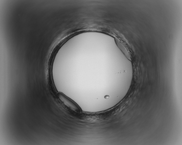 X0000096140344200802151339