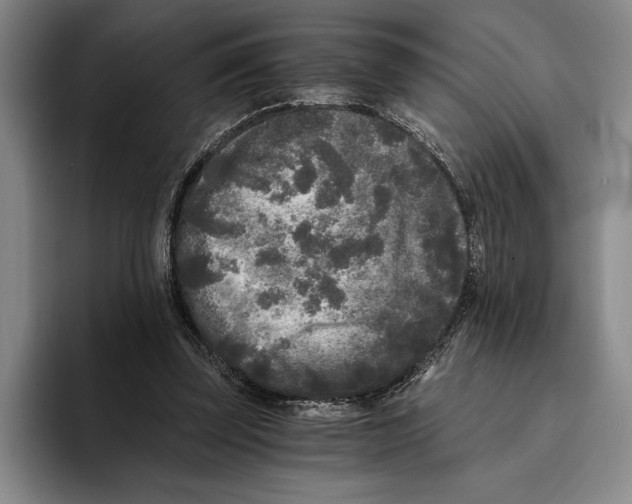 X0000096140347200802151339