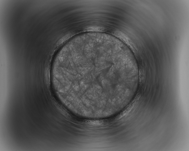 X0000096140349200802151339