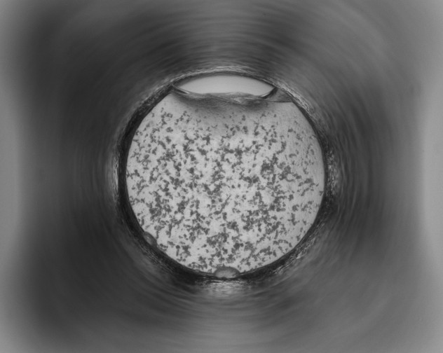 X0000096140350200802151339