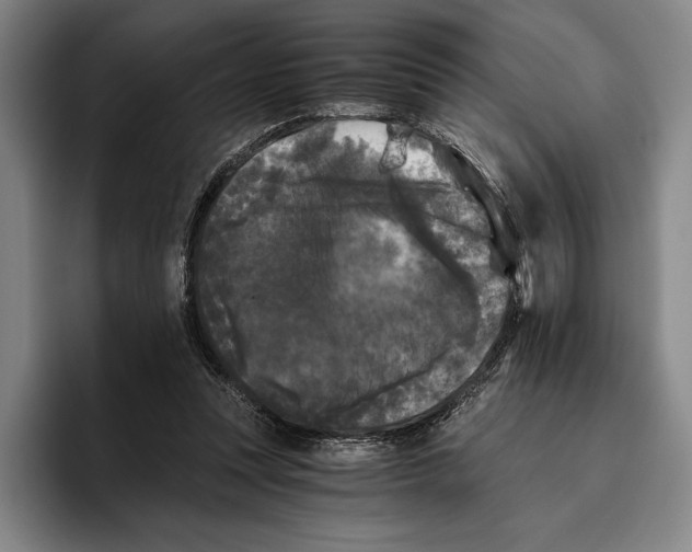 X0000096140351200802151339