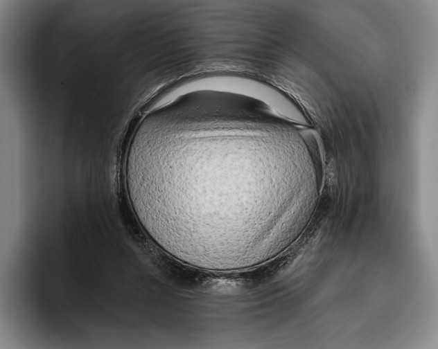 X0000096140352200802151339