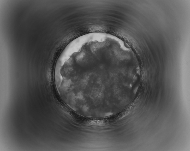X0000096140353200802151339