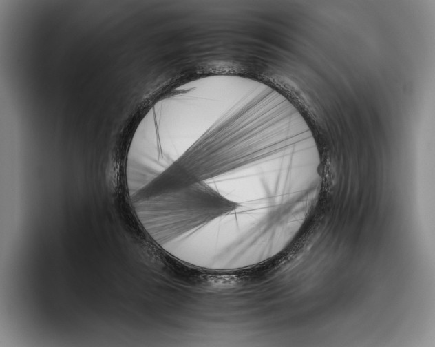 X0000096140355200802151339