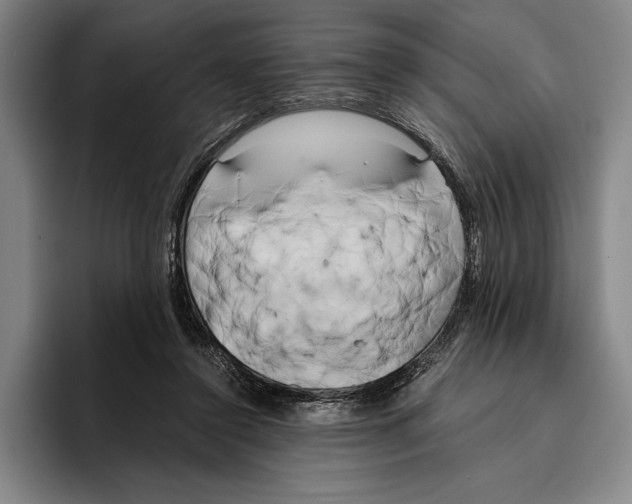 X0000096140356200802151339