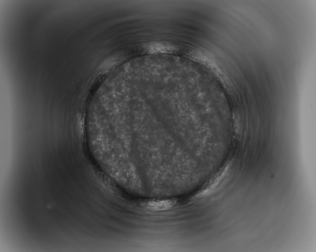 X0000096140357200802151339